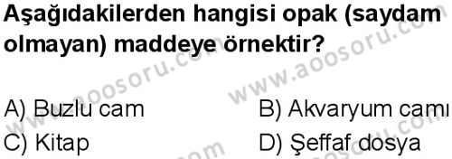 Fen Bilimleri 5 Dersi 2025-2026 yılı 1. Dönem sınavı 4. Soru