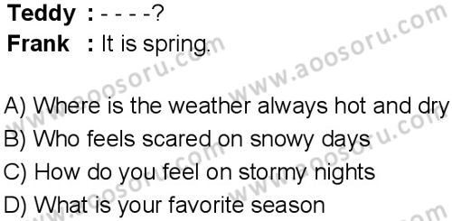 İngilizce 6 Dersi 2025-2026 yılı 1. Dönem sınavı 2. Soru