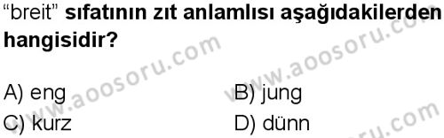 Almanca 6 Dersi 2025-2026 yılı 1. Dönem sınavı 8. Soru
