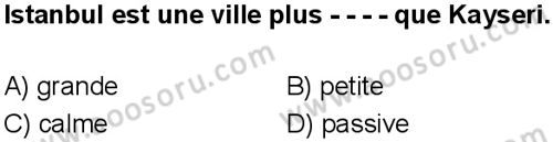 Fransızca 6 Dersi 2025-2026 yılı 1. Dönem sınavı 1. Soru