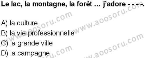Fransızca 6 Dersi 2025-2026 yılı 1. Dönem sınavı 3. Soru