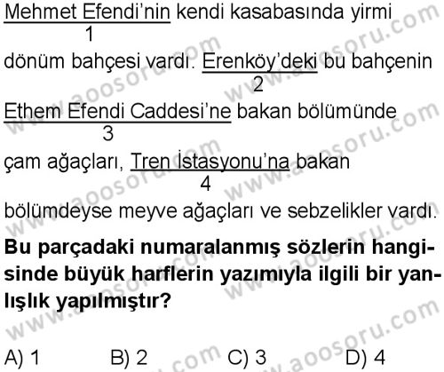 Türkçe 7 Dersi 2025-2026 yılı 1. Dönem sınavı 8. Soru