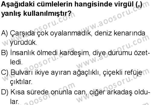 Türkçe 7 Dersi 2025-2026 yılı 1. Dönem sınavı 9. Soru