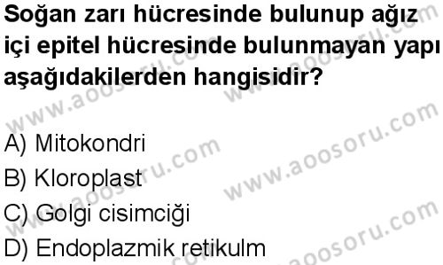 Fen Bilimleri 7 Dersi 2025-2026 yılı 1. Dönem sınavı 8. Soru
