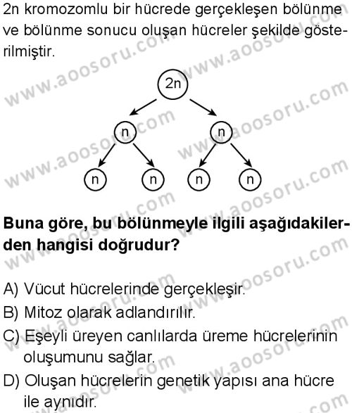 Fen Bilimleri 7 Dersi 2025-2026 yılı 1. Dönem sınavı 9. Soru