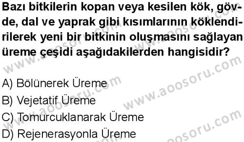 Fen Bilimleri 7 Dersi 2025-2026 yılı 1. Dönem sınavı 10. Soru