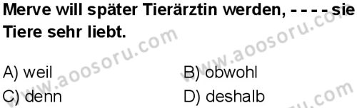 Almanca 8 Dersi 2025-2026 yılı 1. Dönem sınavı 1. Soru