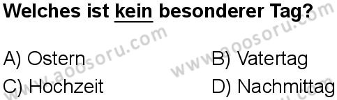 Almanca 8 Dersi 2025-2026 yılı 1. Dönem sınavı 8. Soru