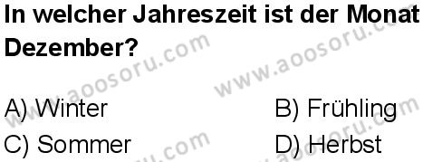 Almanca 8 Dersi 2025-2026 yılı 1. Dönem sınavı 9. Soru