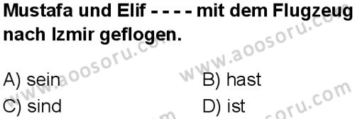 Almanca 5 Dersi 2025-2026 yılı 1. Dönem sınavı 3. Soru