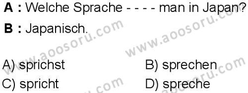 Almanca 5 Dersi 2025-2026 yılı 1. Dönem sınavı 5. Soru