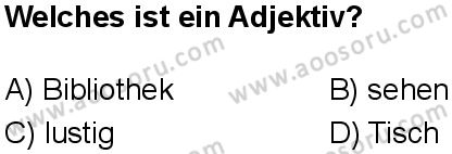 Almanca 5 Dersi 2025-2026 yılı 1. Dönem sınavı 9. Soru