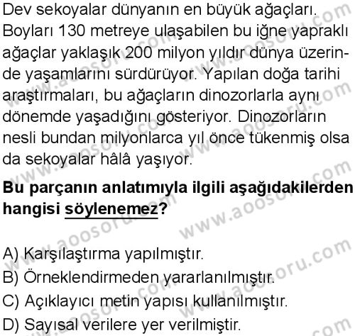 Türkçe 6 Dersi 2025-2026 yılı 1. Dönem sınavı 6. Soru