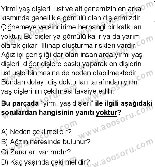 Türkçe 6 Dersi 2025-2026 yılı 1. Dönem sınavı 8. Soru