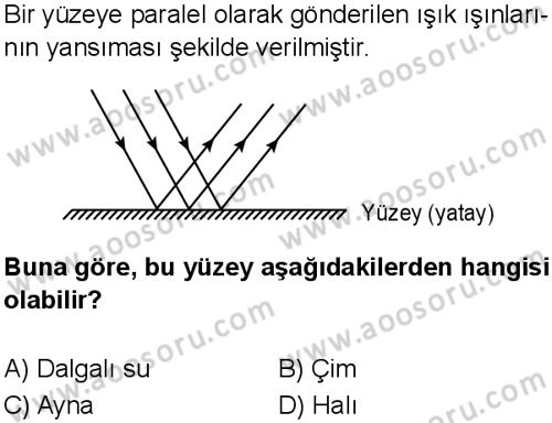 Fen Bilimleri 6 Dersi 2025-2026 yılı 1. Dönem sınavı 5. Soru