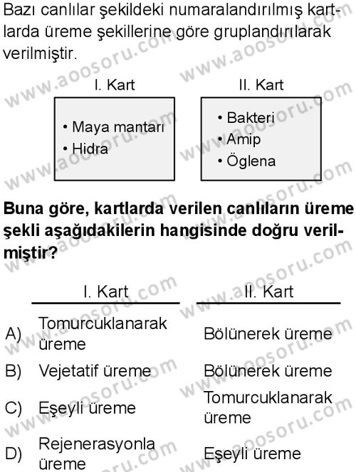 Fen Bilimleri 6 Dersi 2025-2026 yılı 1. Dönem sınavı 8. Soru