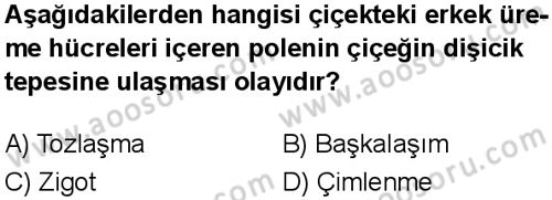 Fen Bilimleri 6 Dersi 2025-2026 yılı 1. Dönem sınavı 9. Soru