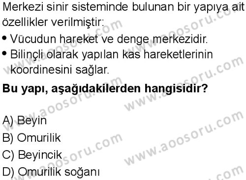 Fen Bilimleri 6 Dersi 2025-2026 yılı 1. Dönem sınavı 10. Soru