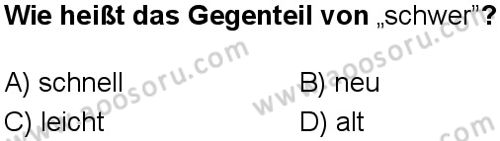 Almanca 7 Dersi 2025-2026 yılı 1. Dönem sınavı 7. Soru