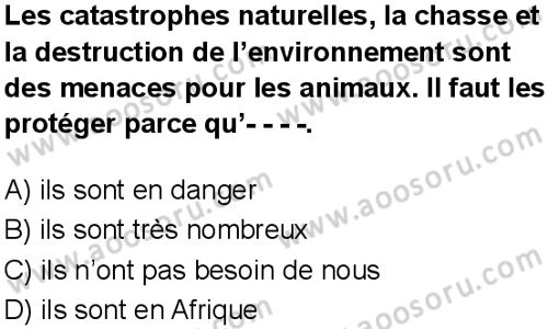 Fransızca 7 Dersi 2025-2026 yılı 1. Dönem sınavı 2. Soru