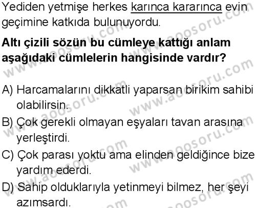 Türkçe 8 Dersi 2025-2026 yılı 1. Dönem sınavı 2. Soru