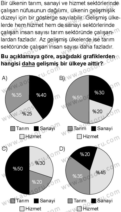 Türkçe 8 Dersi 2025-2026 yılı 1. Dönem sınavı 10. Soru