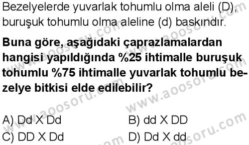 Fen Bilimleri 8 Dersi 2025-2026 yılı 1. Dönem sınavı 9. Soru
