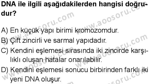 Fen Bilimleri 8 Dersi 2025-2026 yılı 1. Dönem sınavı 10. Soru